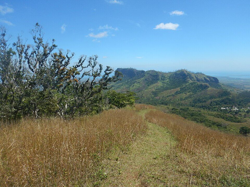 Fiji — subscription and membership platforms for local businesses