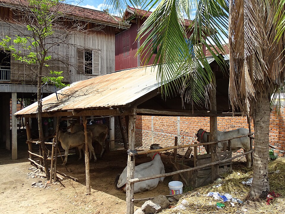 Kampong Cham — local market for service booking platforms