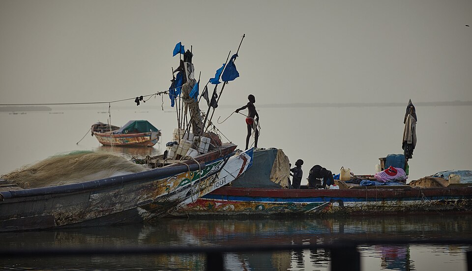Ziguinchor — local market for multi-vendor marketplaces