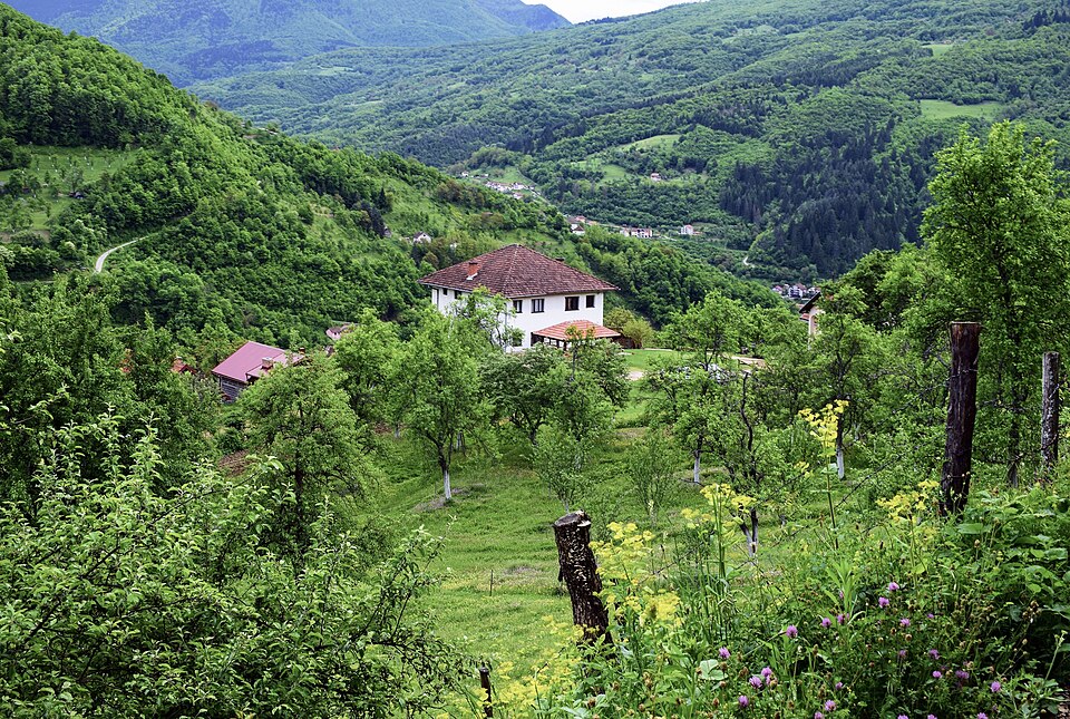 Bosnia and Herzegovina — local market for online stores