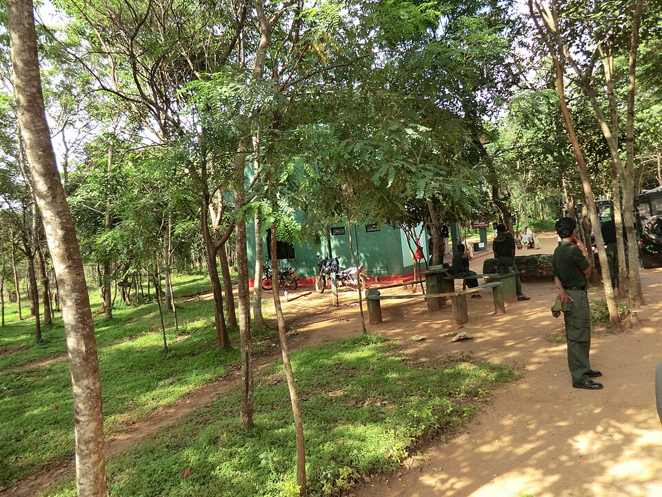 Anuradhapura — local market for mobile commerce apps