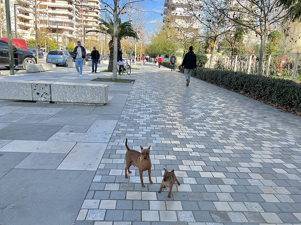 Vlorë — local market for international and multi-region stores