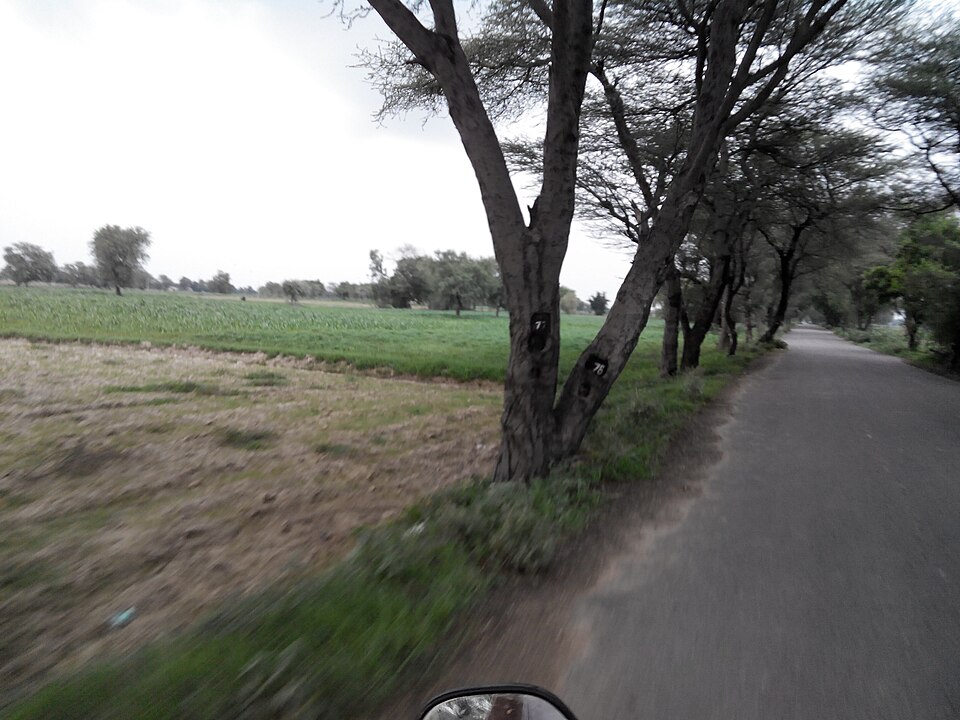 Rewari — local market for multi-vendor marketplaces