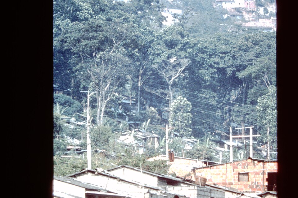 Bucaramanga — online stores for local businesses