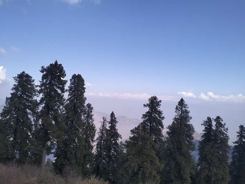 Mussoorie — local market for service booking platforms