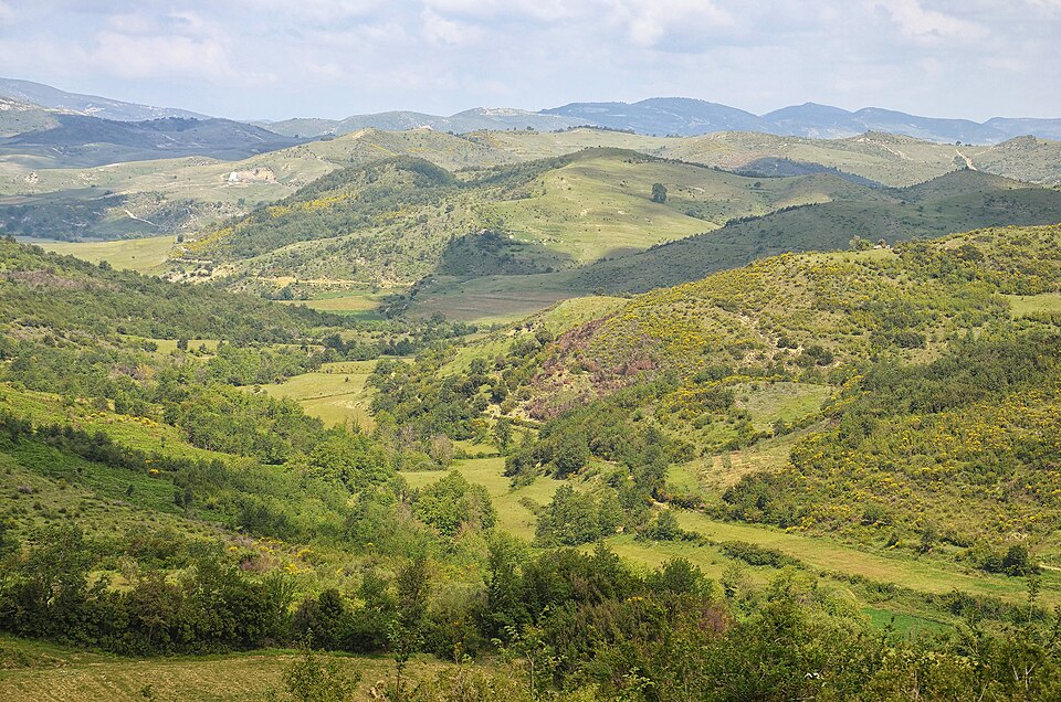 Albania — local market for manufacturer and distributor portals
