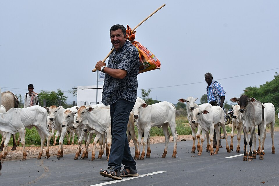 Ongole — international and multi-region stores for local businesses