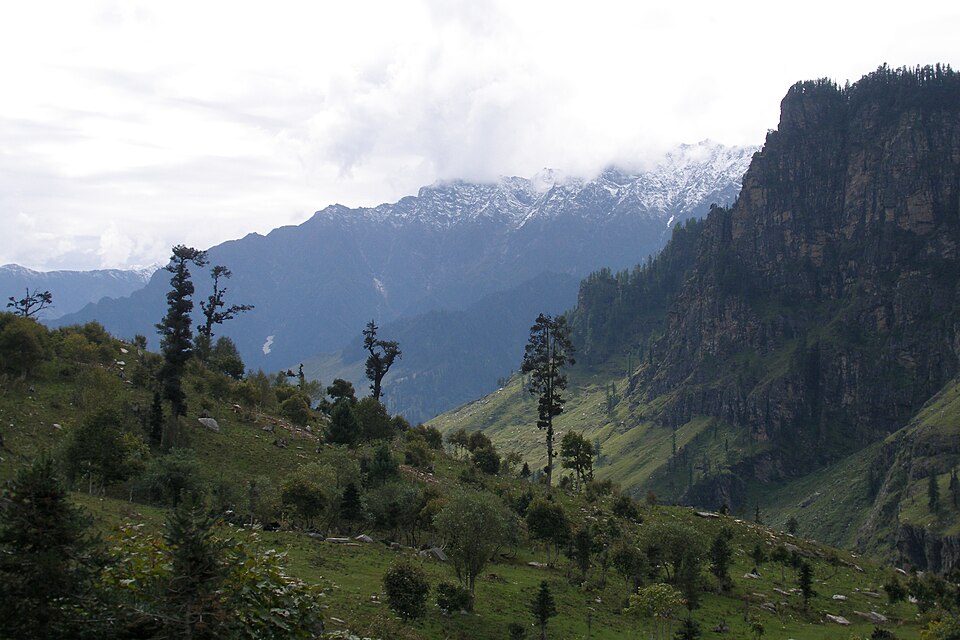 Kullu — local market for multi-vendor marketplaces
