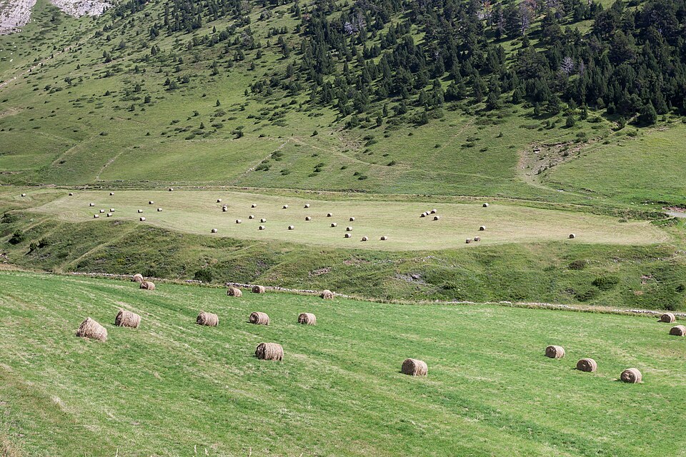 Andorra — local market for mobile commerce apps