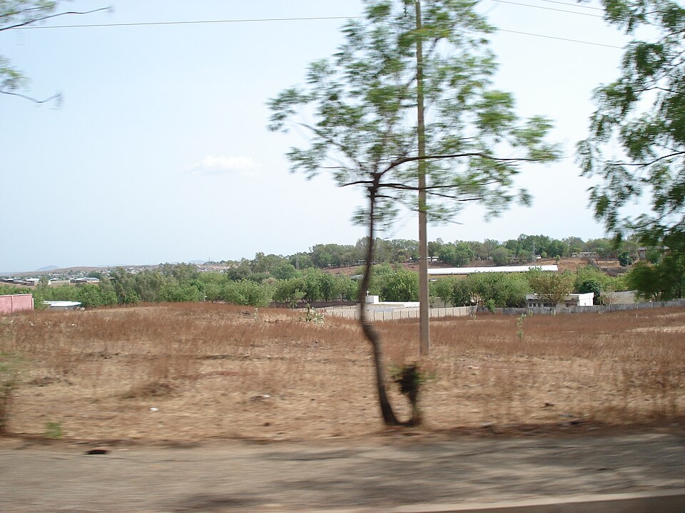 Garoua — local market for international and multi-region stores