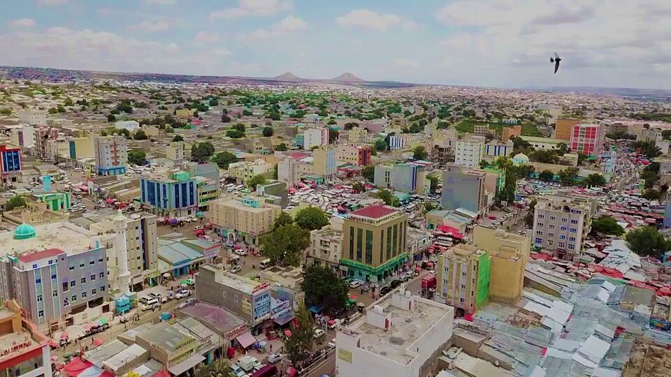 Hargeisa — B2B and wholesale portals for local businesses