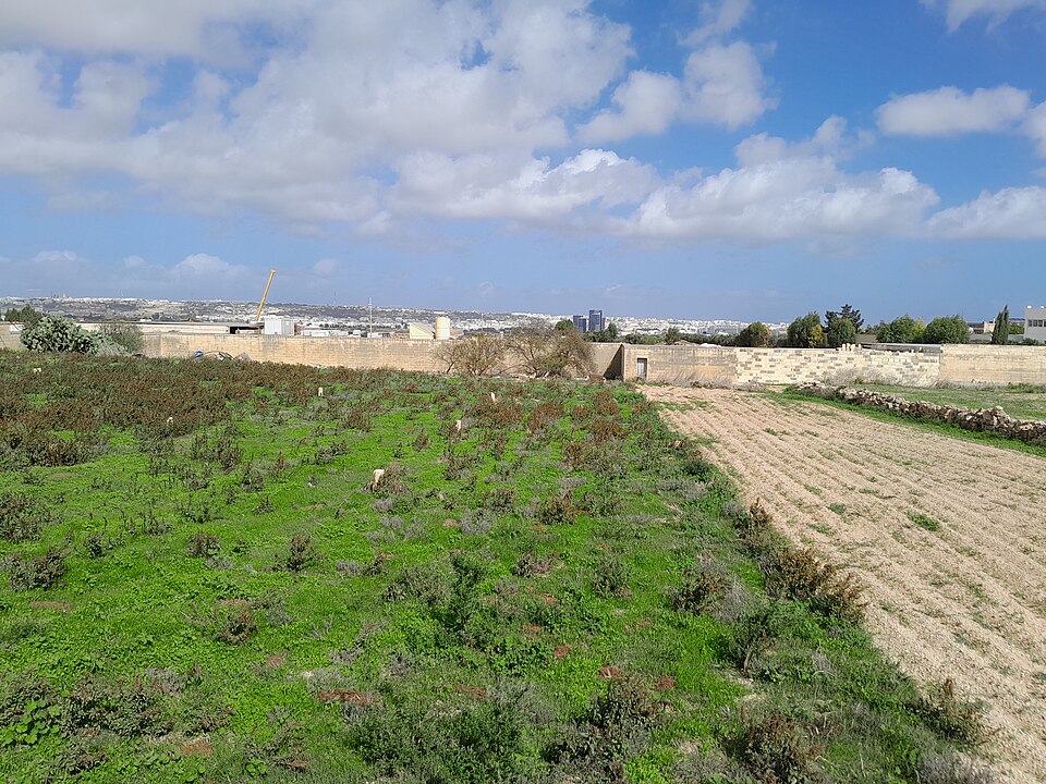 Malta — multi-vendor marketplaces for local businesses