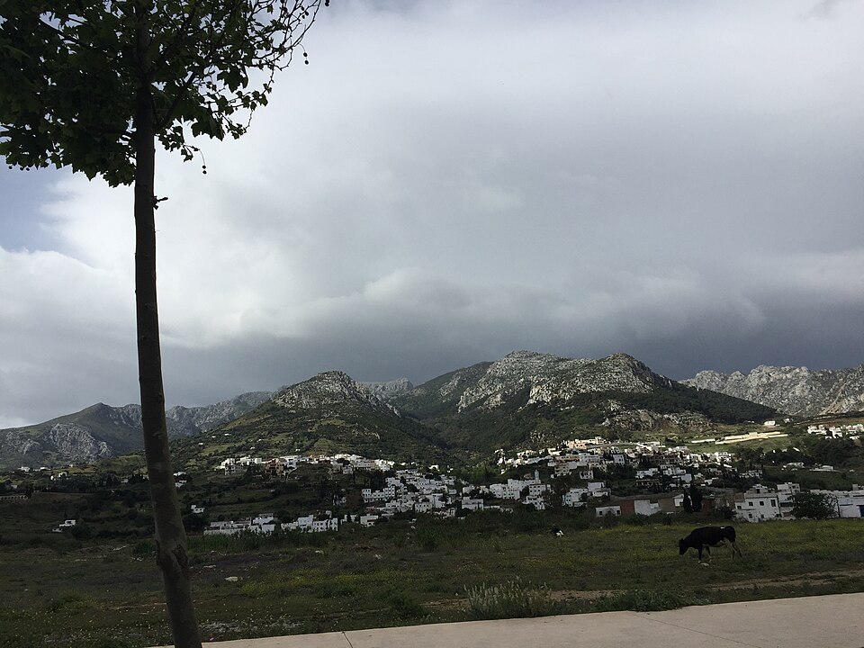 Tétouan — online stores for local businesses
