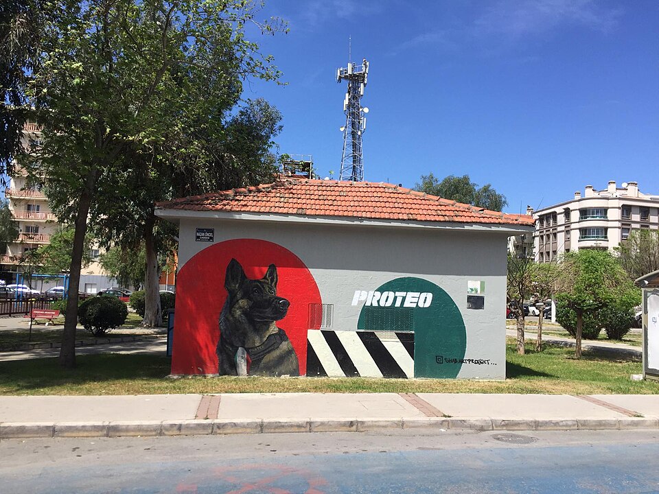 İzmir — local market for subscription and membership platforms