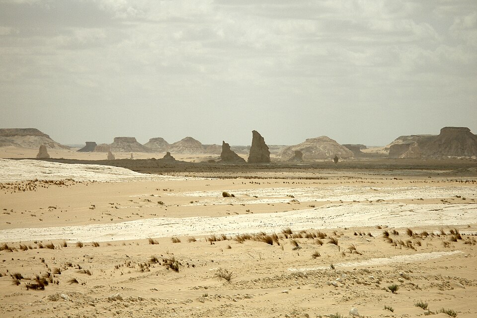 Egypt — manufacturer and distributor portals for local businesses