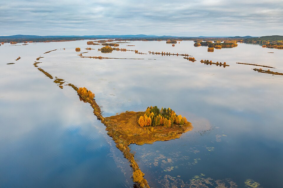 Finland — international and multi-region stores for local businesses