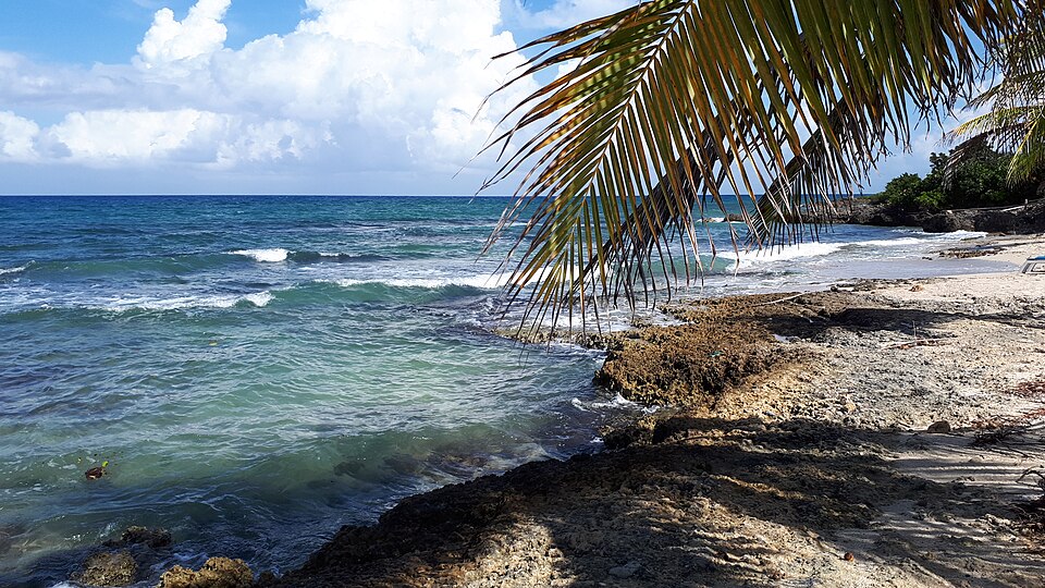 Montego Bay — international and multi-region stores for local businesses