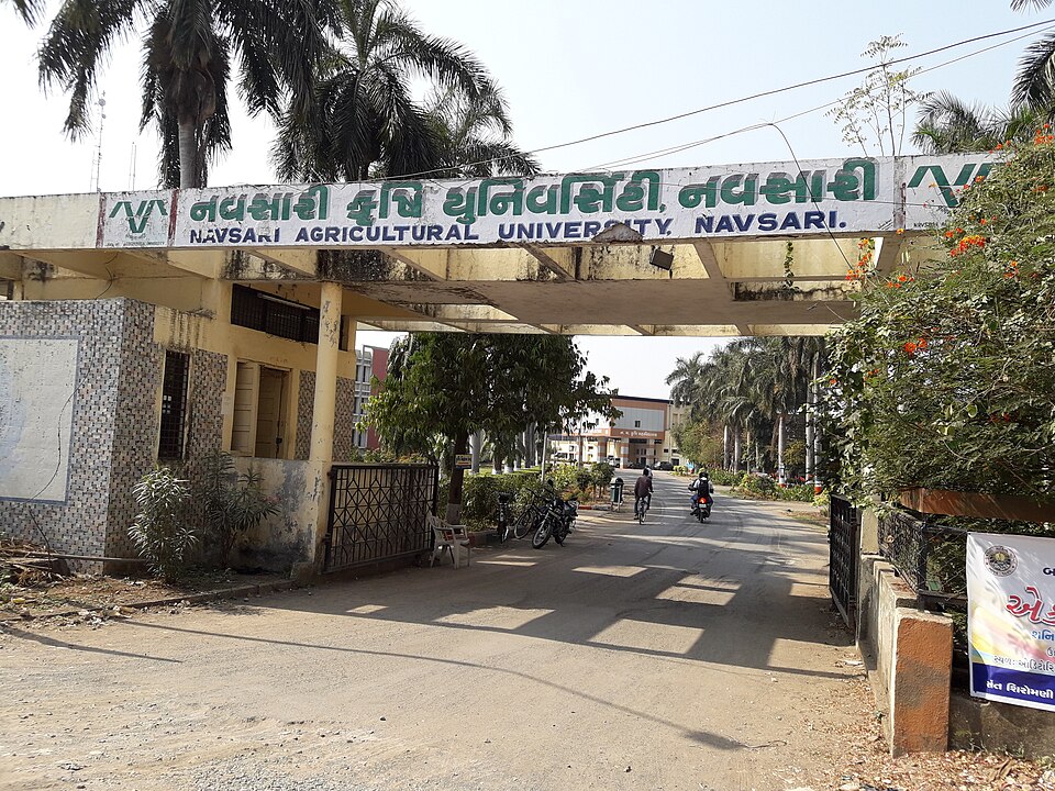 Navsari — local market for manufacturer and distributor portals
