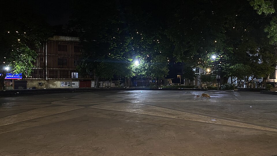 Iloilo City — local market for subscription and membership platforms