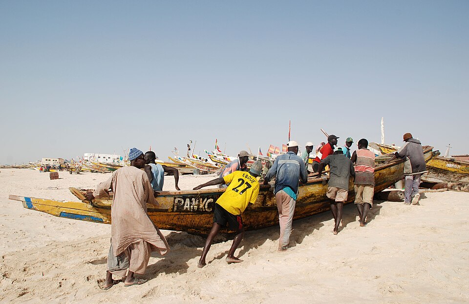 Nouakchott — B2B and wholesale portals for local businesses