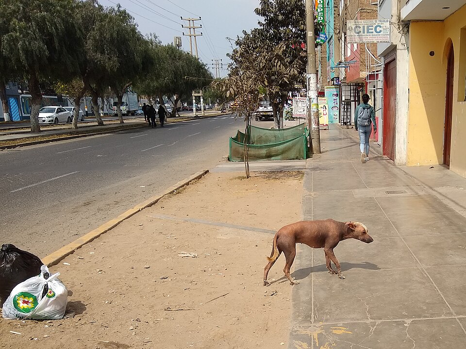 Trujillo — multi-vendor marketplaces for local businesses