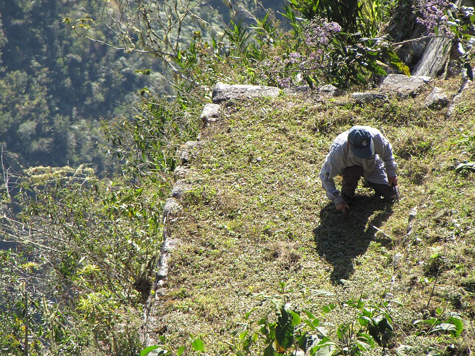 Peru — manufacturer and distributor portals for local businesses