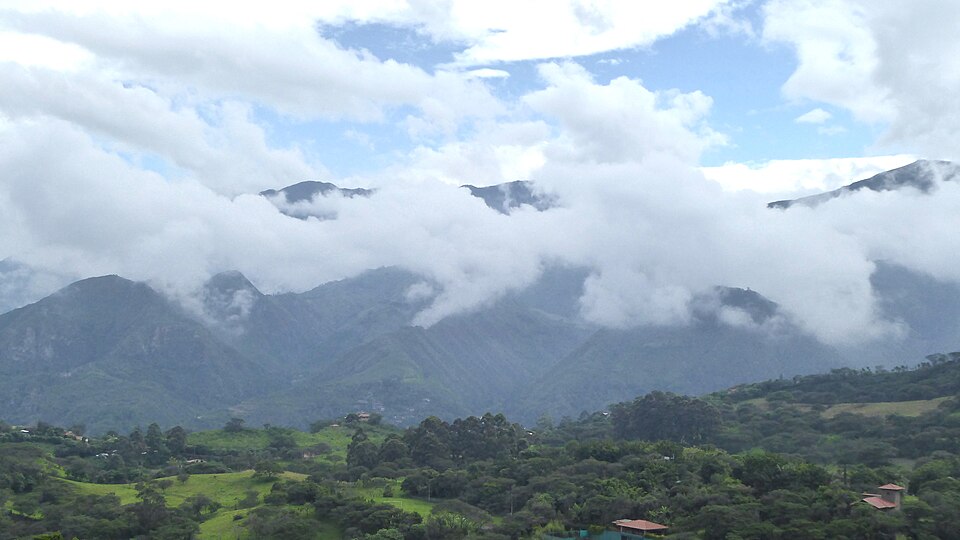 Ecuador — international and multi-region stores for local businesses