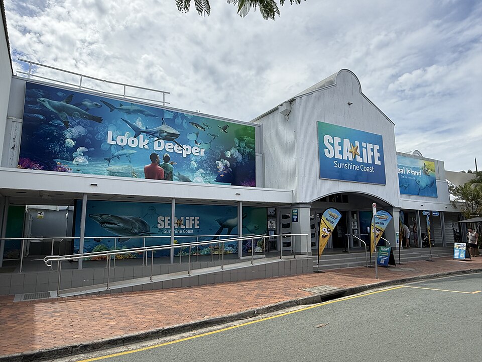Sunshine Coast — online stores for local businesses