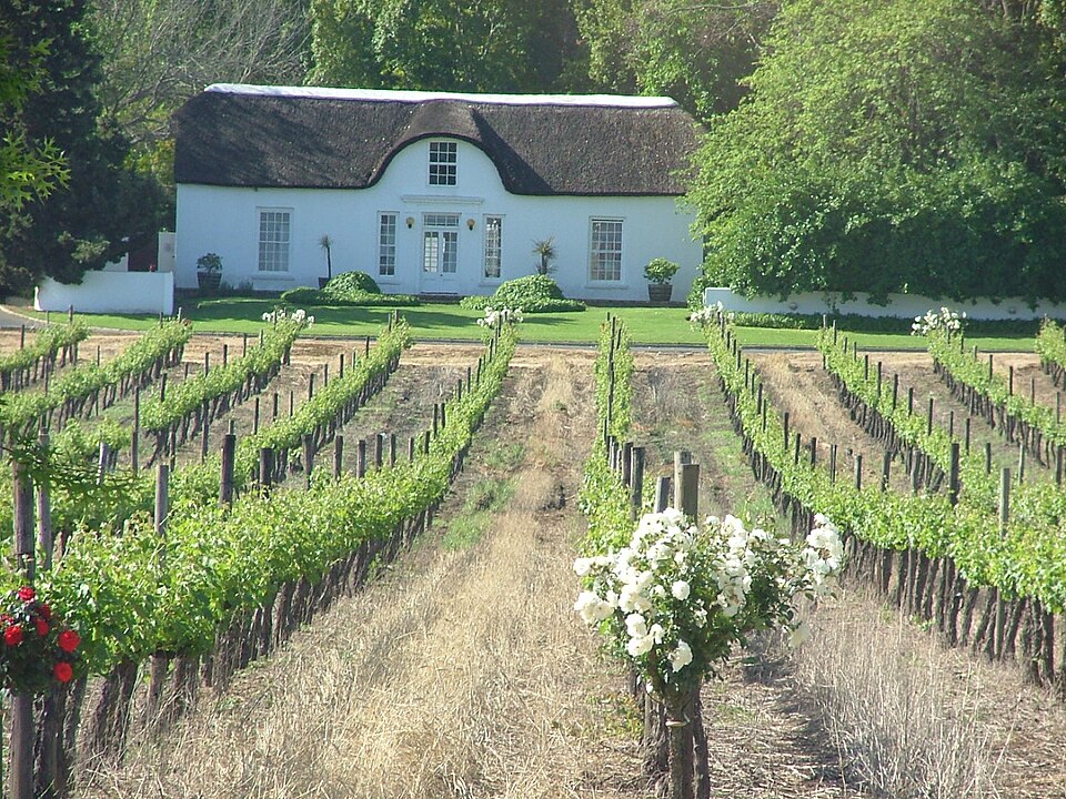 Stellenbosch — local market for manufacturer and distributor portals