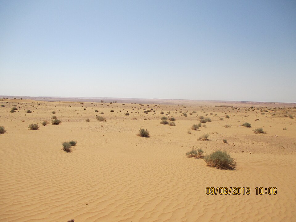 Algeria — multi-vendor marketplaces for local businesses