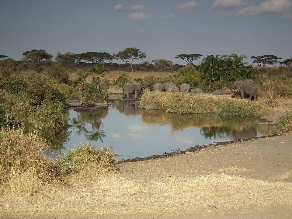 Tanzania — B2B and wholesale portals for local businesses