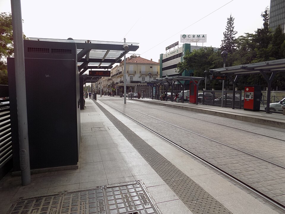 Sétif — B2B and wholesale portals for local businesses