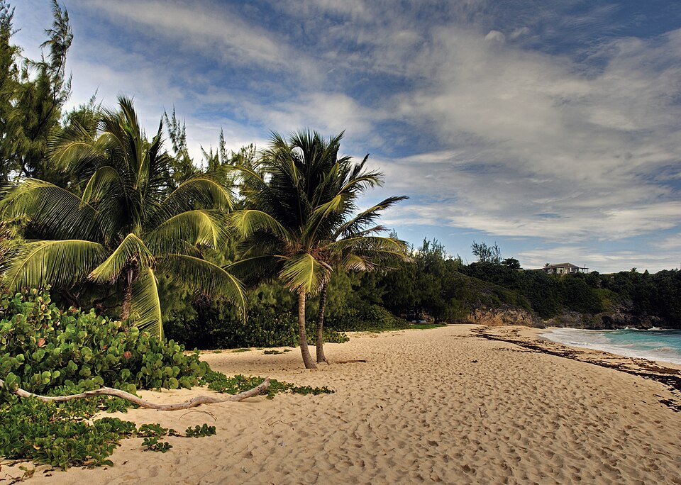 Barbados — local market for B2B and wholesale portals