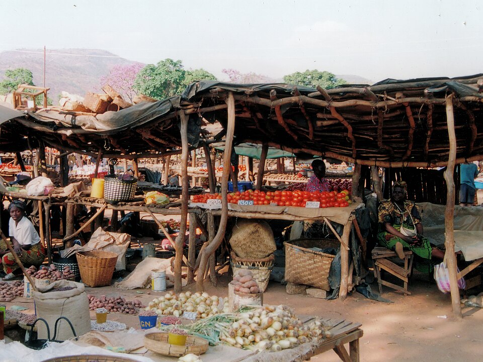 Chipata — local market for manufacturer and distributor portals