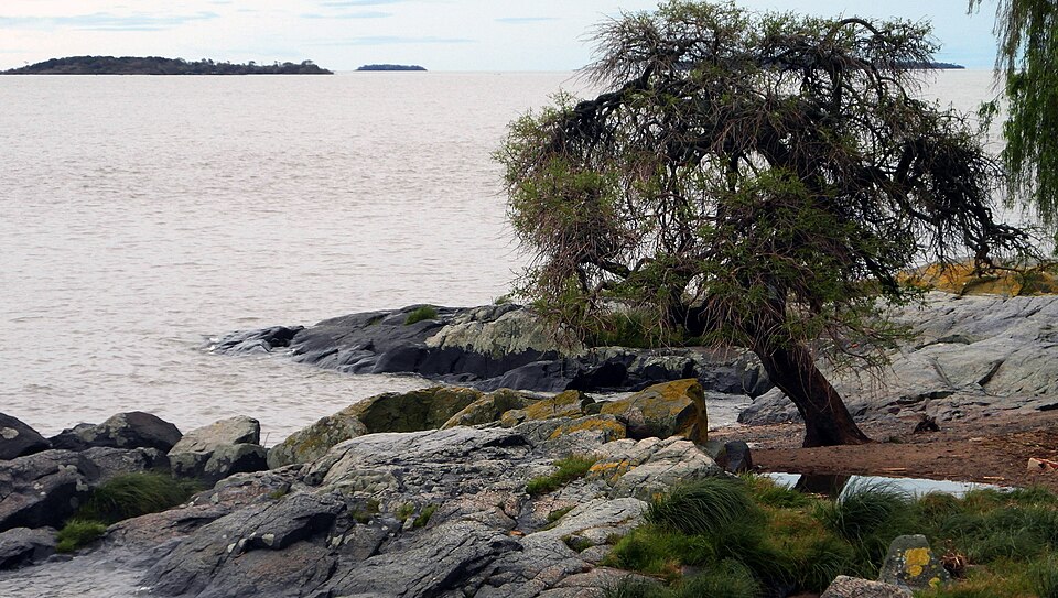 Colonia del Sacramento — B2B and wholesale portals for local businesses