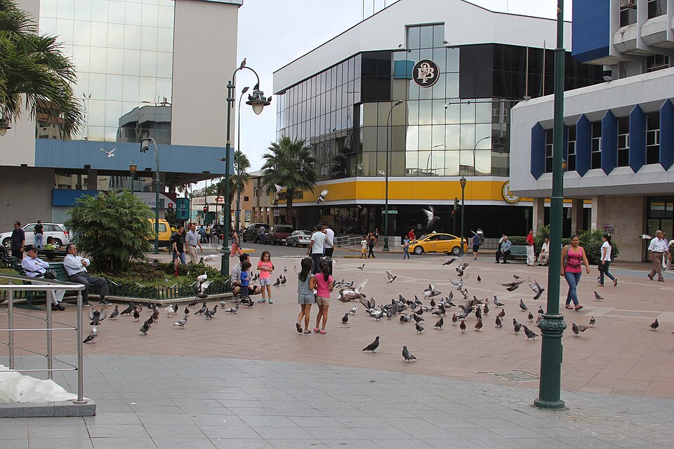 Machala — local market for international and multi-region stores