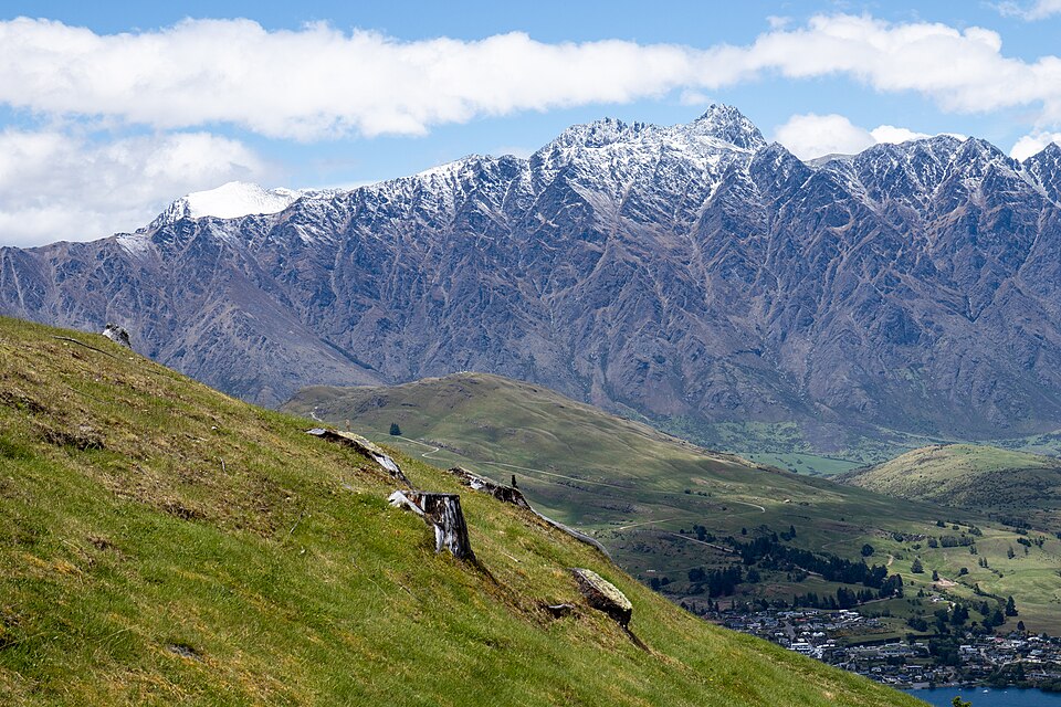 New Zealand — manufacturer and distributor portals for local businesses