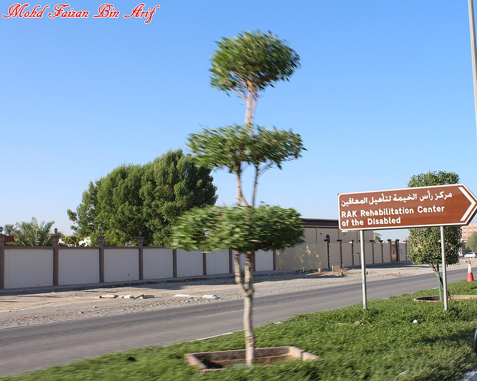 Ras Al Khaimah — international and multi-region stores for local businesses