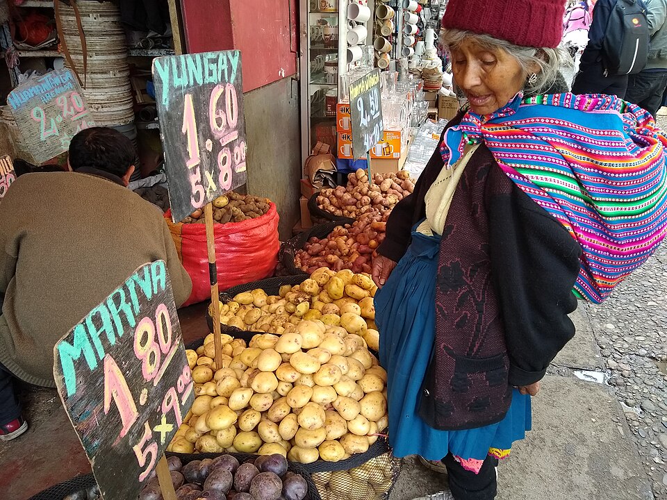 Huancayo — mobile commerce apps for local businesses