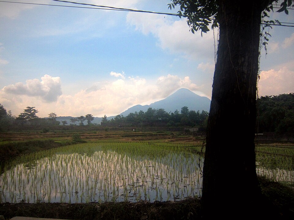 Indonesia — online stores for local businesses