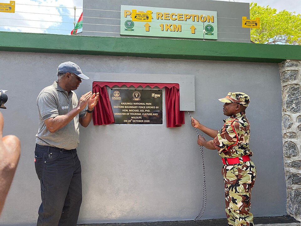 Kasungu — local market for online stores