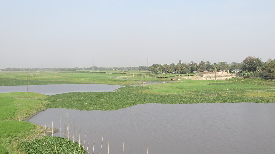 Narayanganj — online stores for local businesses