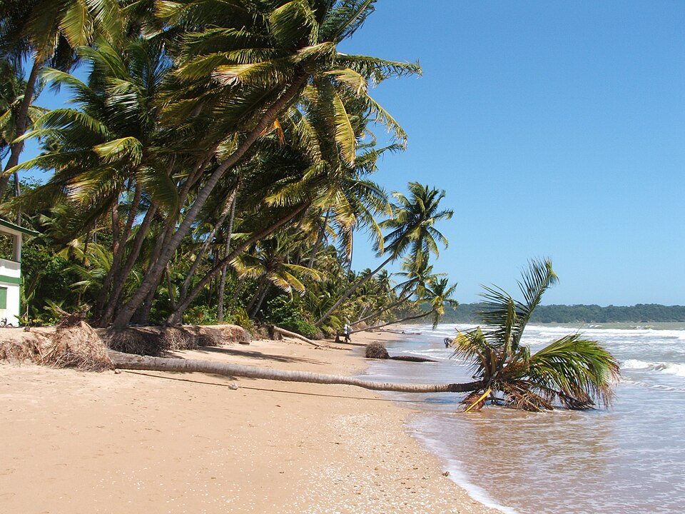 Trinidad and Tobago — B2B and wholesale portals for local businesses