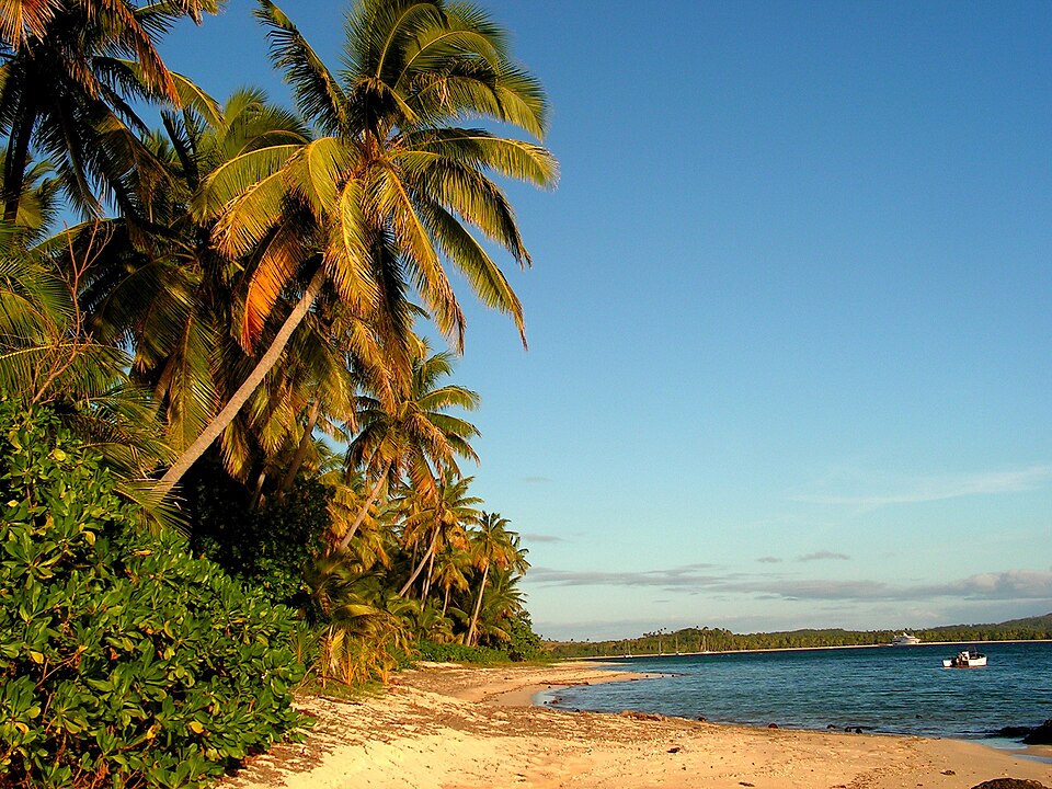 Fiji — local market for service booking platforms