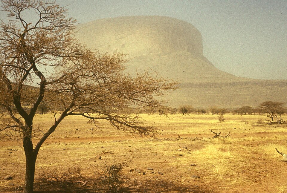 Mali — local market for service booking platforms