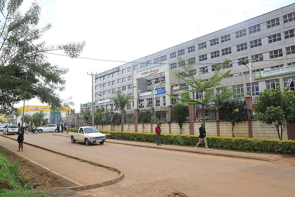 Kitale — local market for custom e-commerce platforms