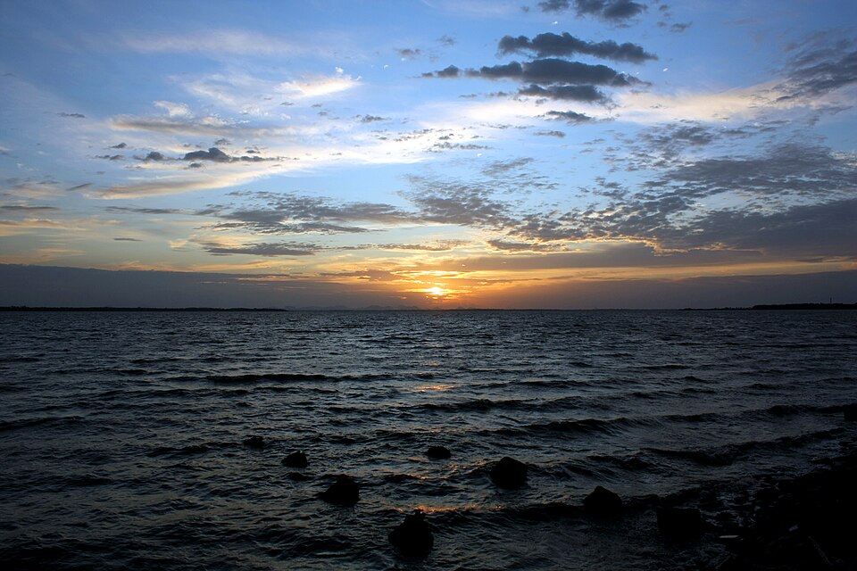 Batticaloa — online stores for local businesses