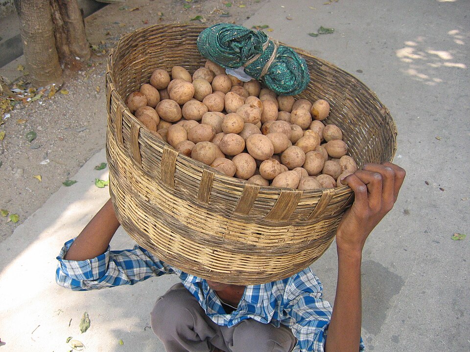 Guntur — multi-vendor marketplaces for local businesses