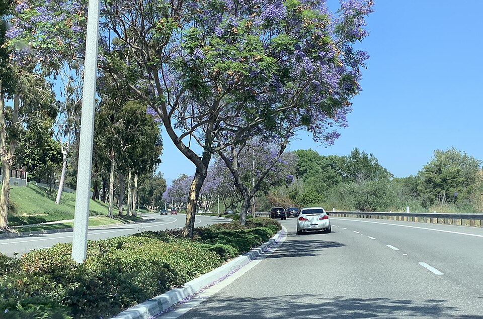 Irvine — online stores for local businesses