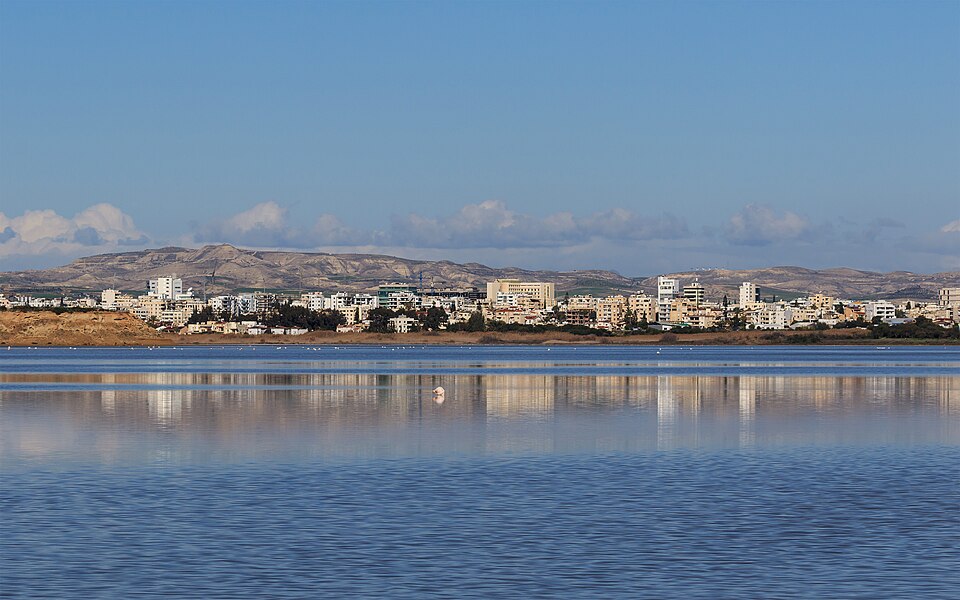 Larnaca — manufacturer and distributor portals for local businesses